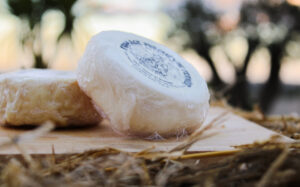 Fromages de chèvre de la Ferme de Montagut à Thézan-des-Corbières